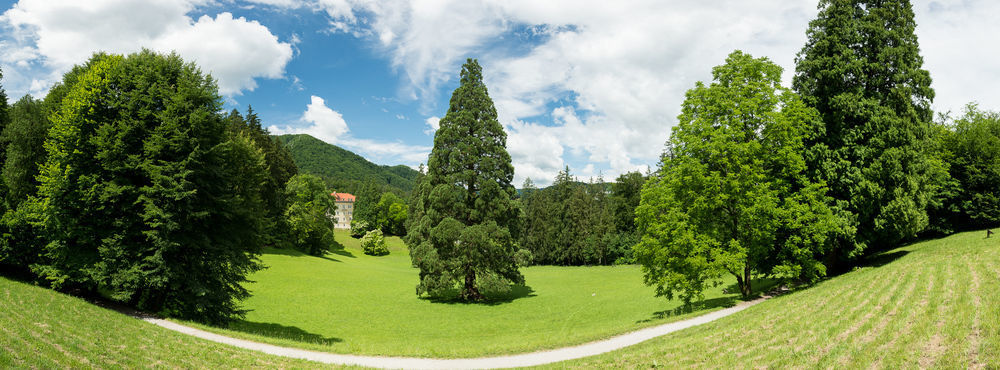 Rimske Terme - Hotel Zdraviliski Dvor Rimske Toplice Extérieur photo