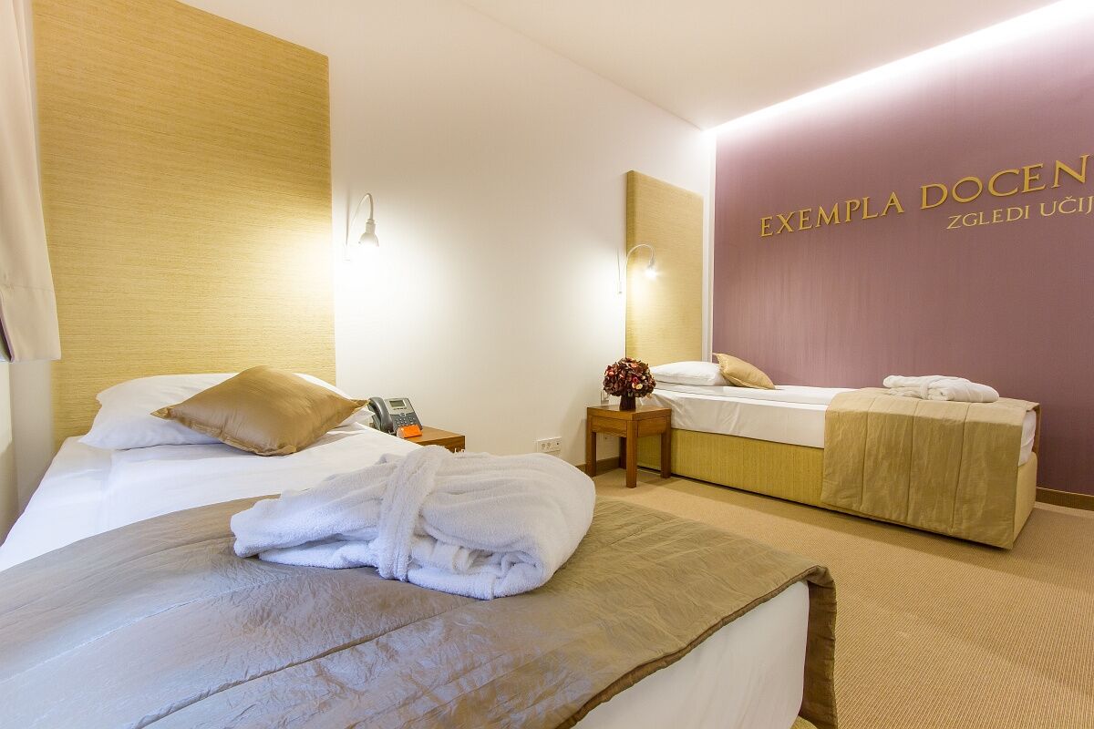 Rimske Terme - Hotel Zdraviliski Dvor Rimske Toplice Extérieur photo